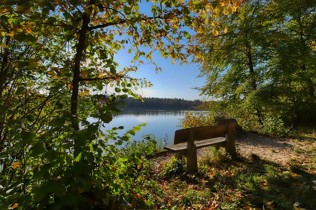 在某些比赛 在某些比赛